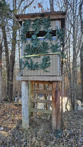 $450,000 | 424 Tennessee Highway, Cedar Grove, TN 38321