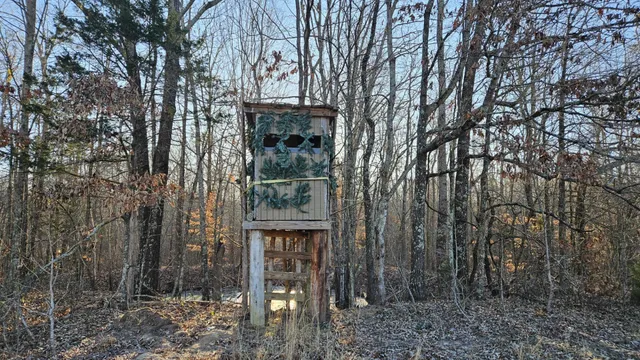 $450,000 | 424 Tennessee Highway, Cedar Grove, TN 38321