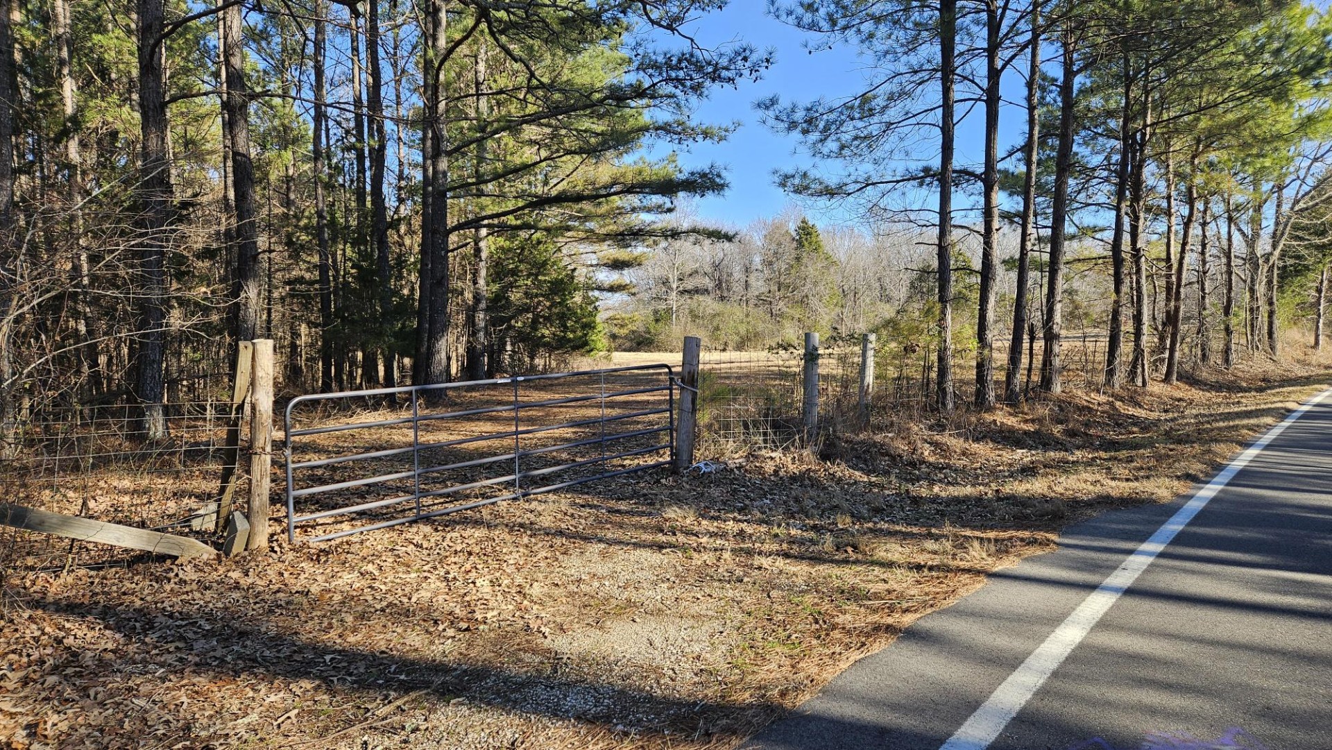 424 Tennessee Highway Cedar Grove, TN 38321 - Photo 26 of 28