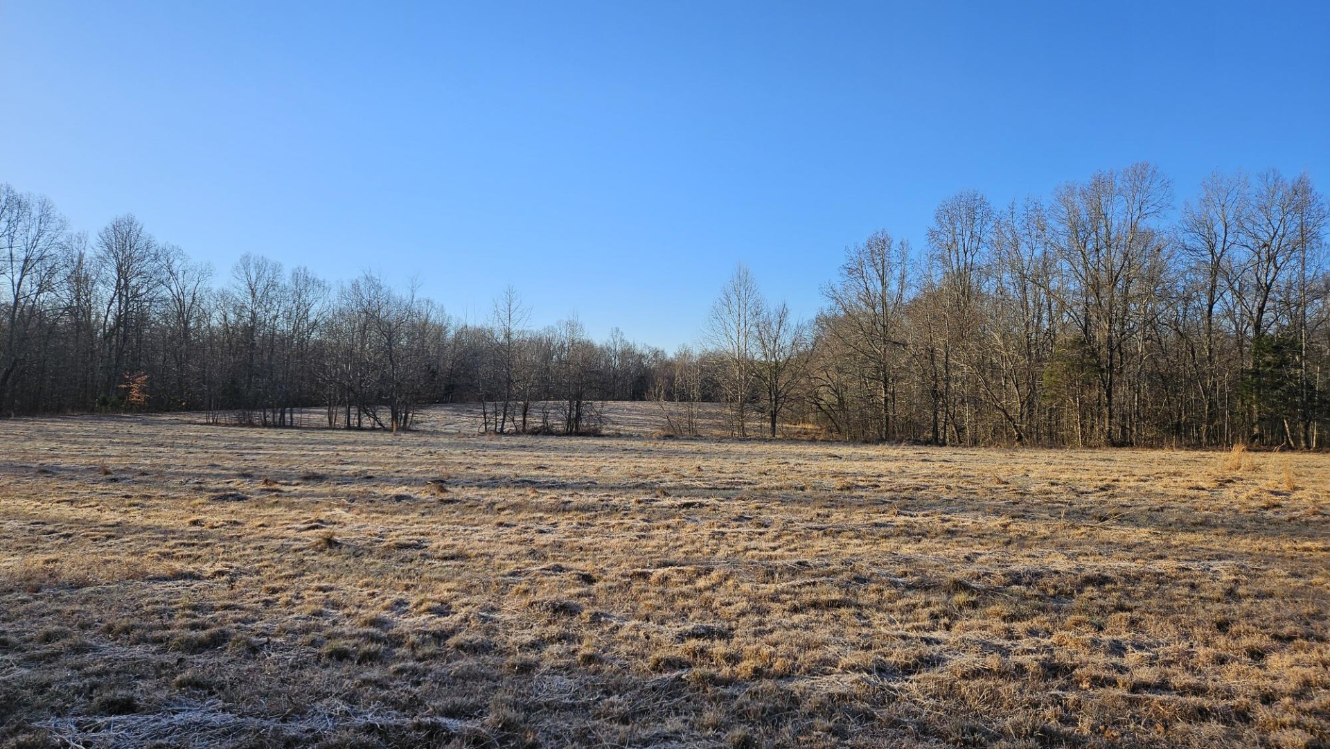 424 Tennessee Highway Cedar Grove, TN 38321 - Photo 27 of 28