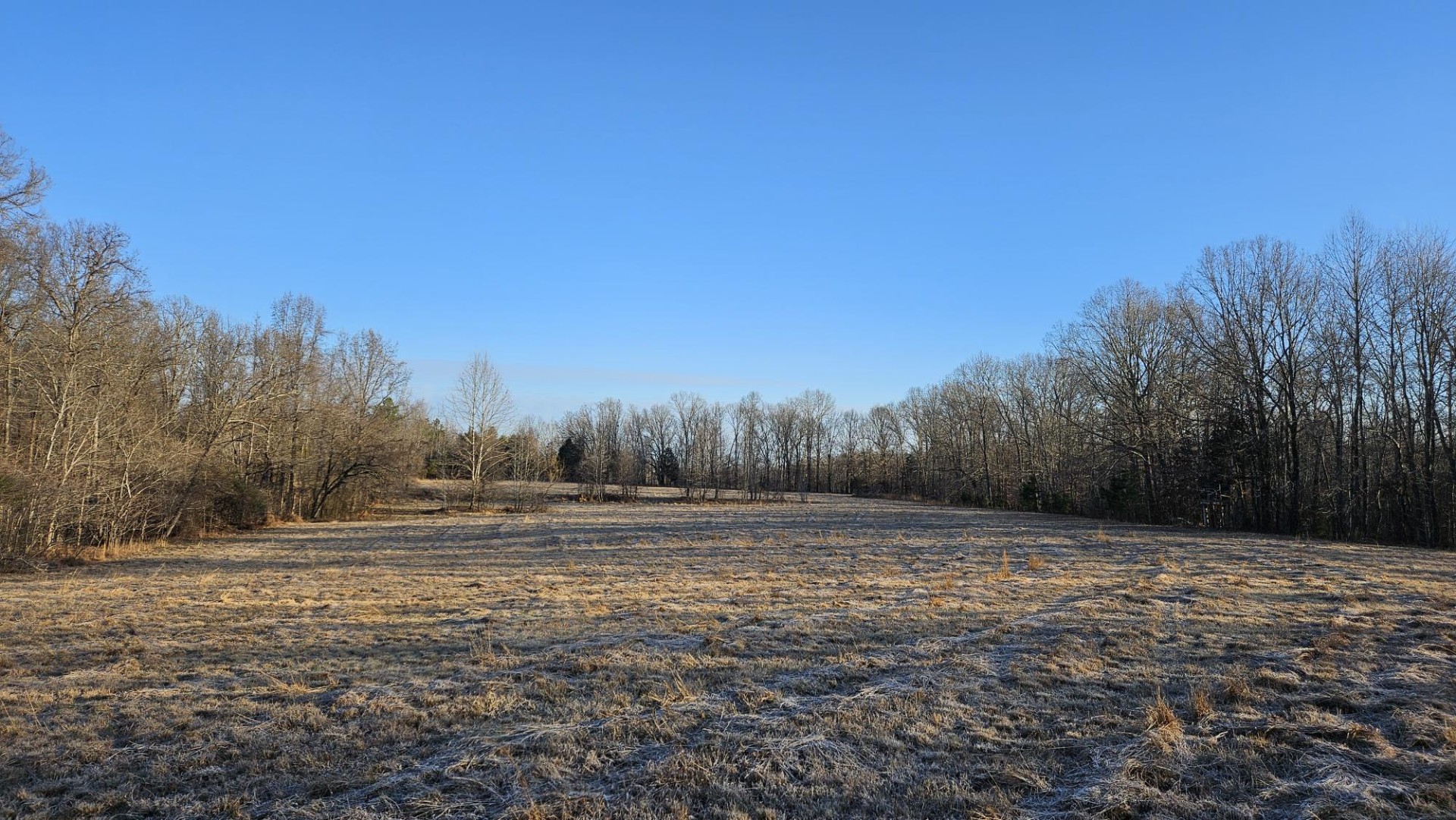 424 Tennessee Highway Cedar Grove, TN 38321 - Photo 28 of 28