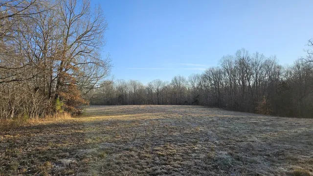 $450,000 | 424 Tennessee Highway, Cedar Grove, TN 38321