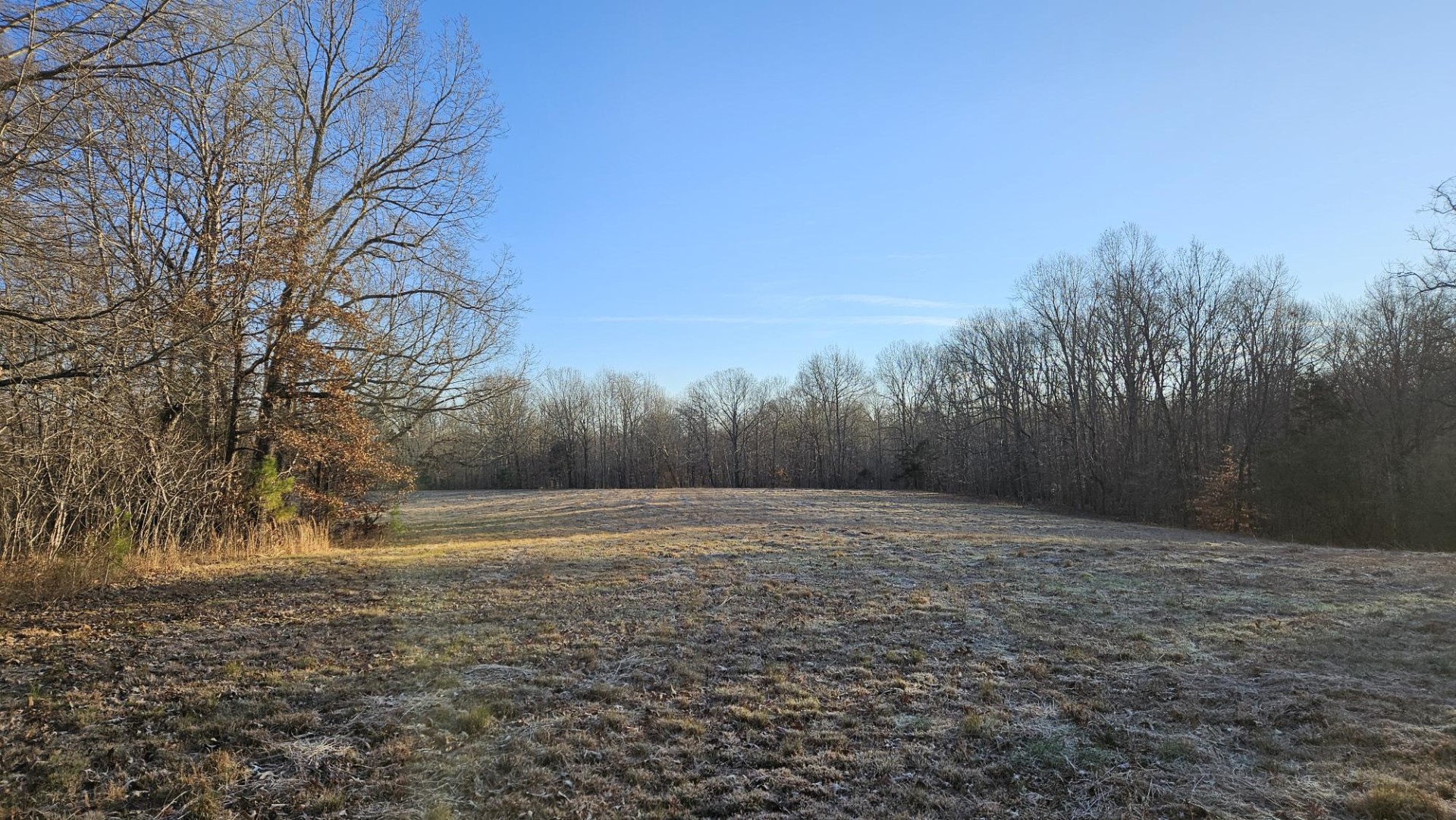 424 Tennessee Highway Cedar Grove, TN 38321 - Photo 3 of 28