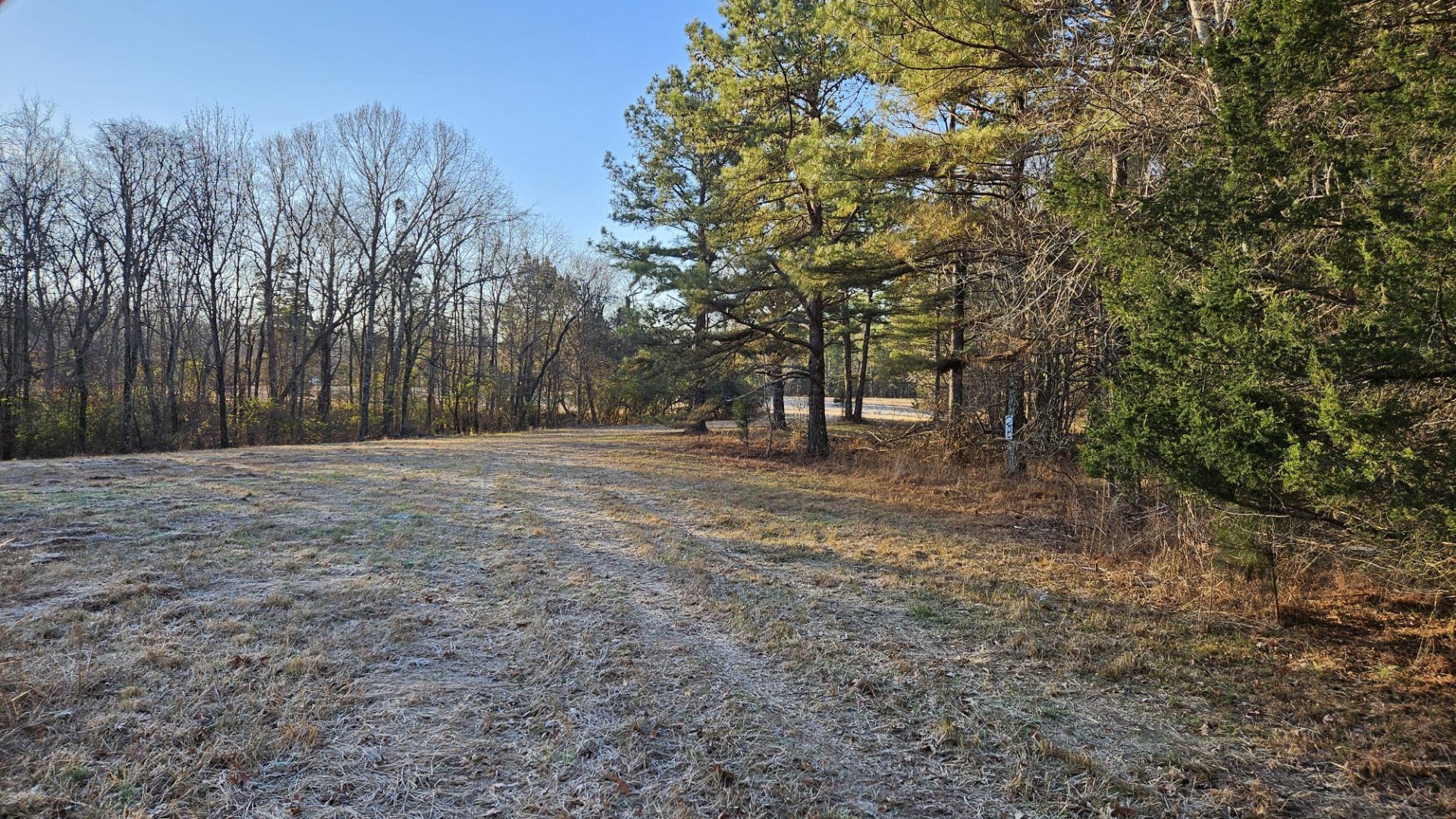 424 Tennessee Highway Cedar Grove, TN 38321 - Photo 4 of 28
