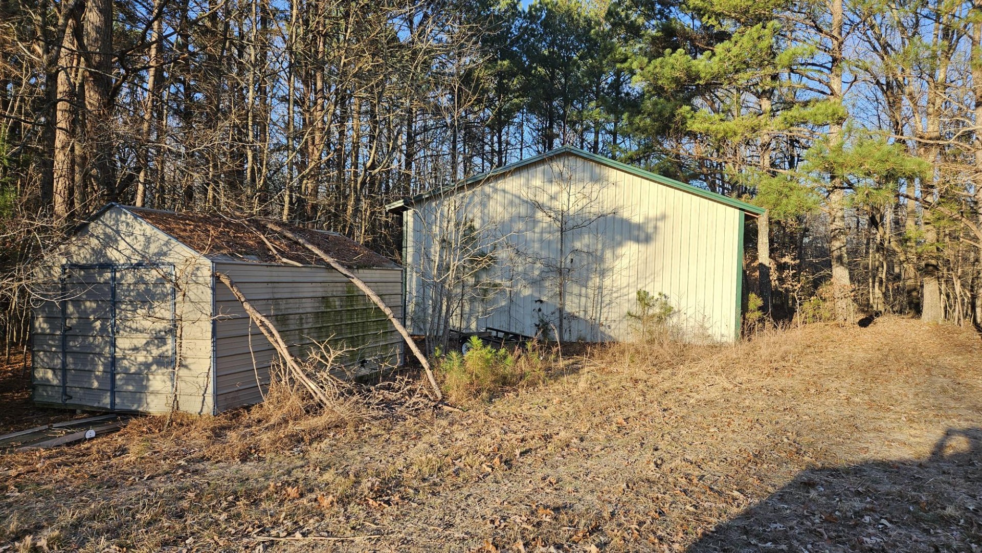 424 Tennessee Highway Cedar Grove, TN 38321 - Photo 7 of 28