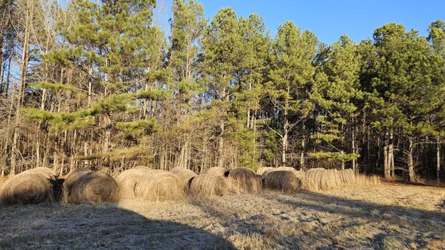 $450,000 | 424 Tennessee Highway, Cedar Grove, TN 38321