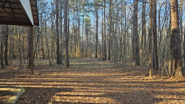 $450,000 | 424 Tennessee Highway, Cedar Grove, TN 38321