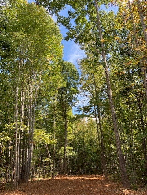 799 CCC Road Drakes Branch, VA 23937 - Photo 2 of 4 Gallery Image 2