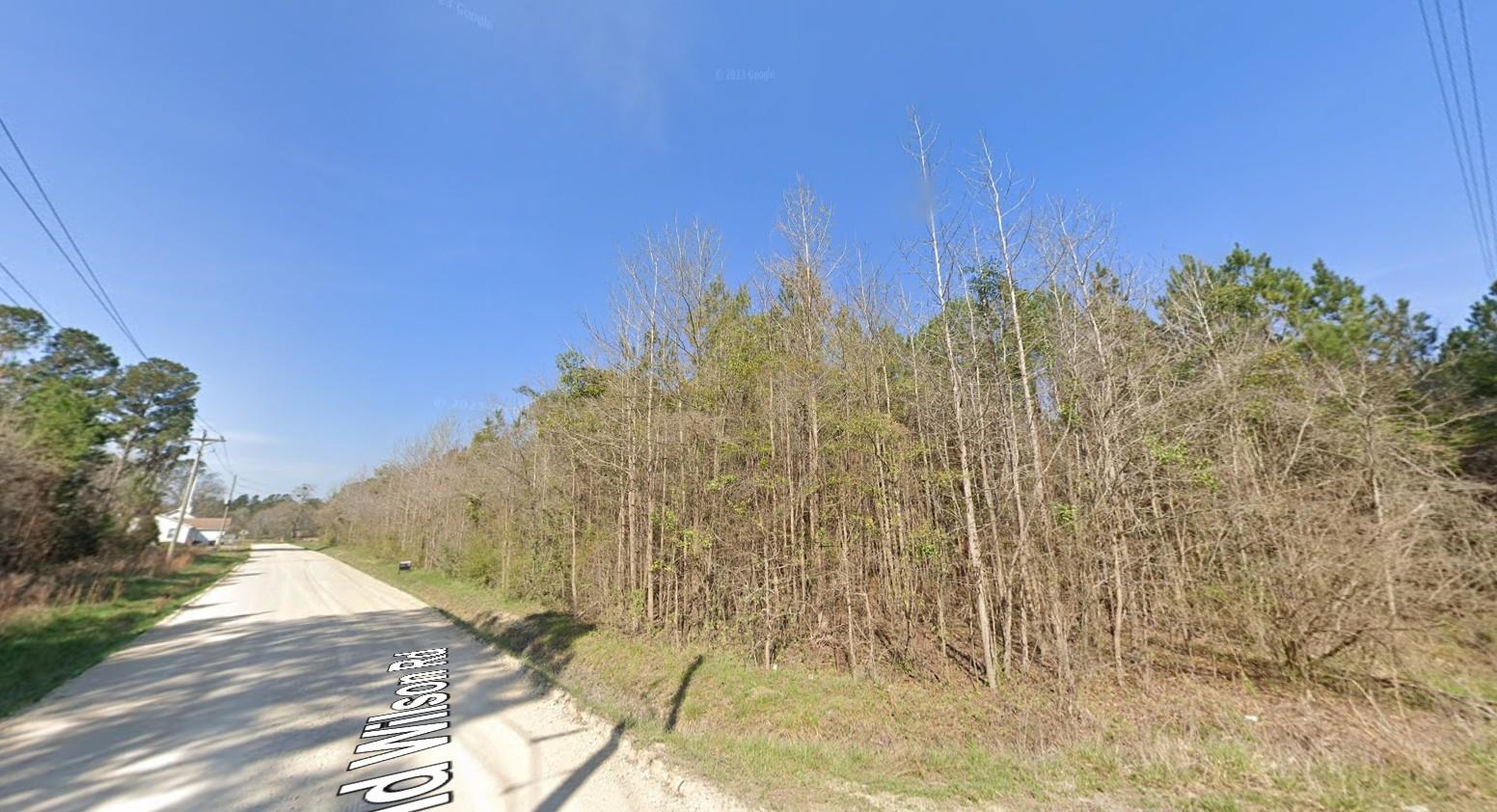 Tbd Tbd Old Wilson Road Longs, SC 29568 - Photo 3 of 16