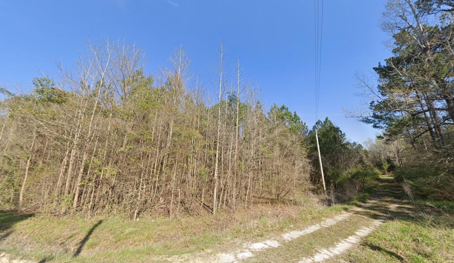 Tbd Tbd Old Wilson Road Longs, SC 29568 - Photo 4 of 16