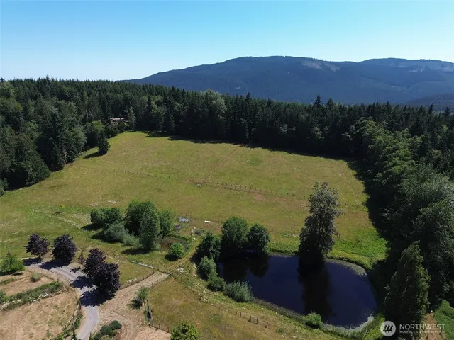 a view of a lake in middle of the forest