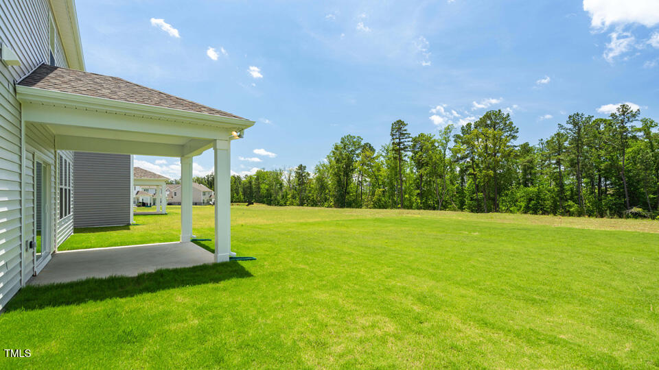 176 Red Jasper Way Clayton, NC 27520 - Photo 28 of 35 a view of an house with backyard