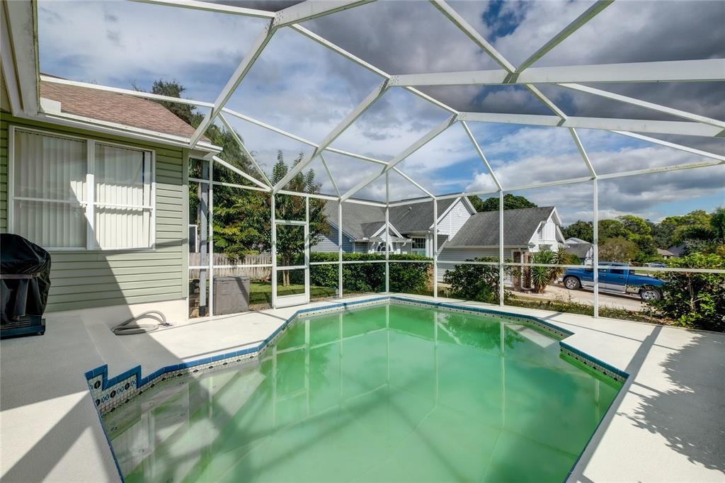 4113 Seton Circle Palm Harbor, FL 34683 - Photo 29 of 43