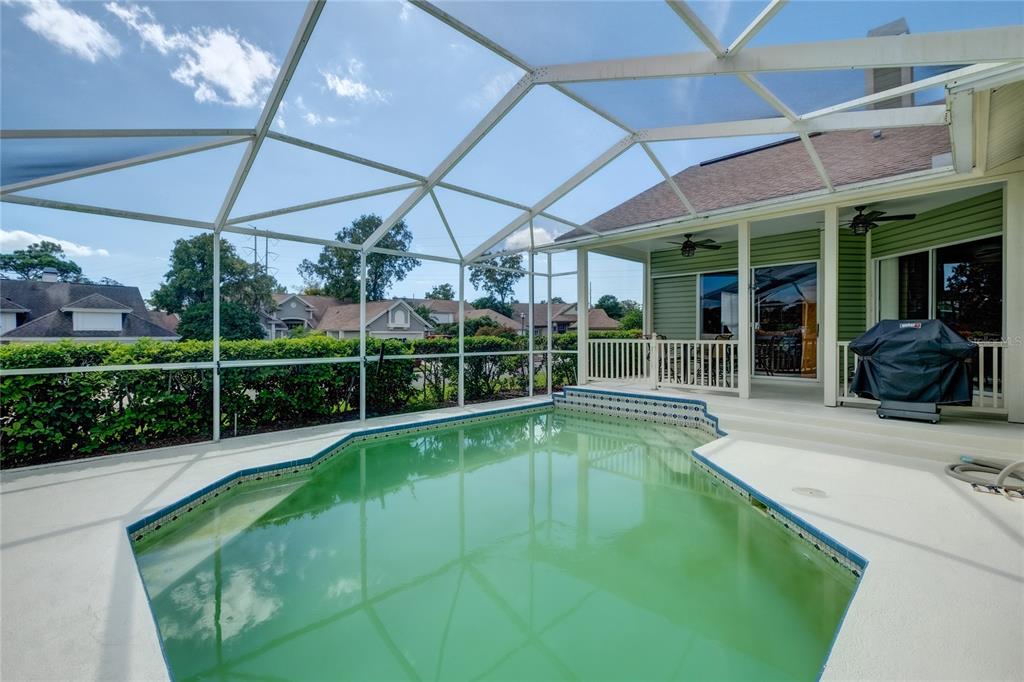 4113 Seton Circle Palm Harbor, FL 34683 - Photo 31 of 43