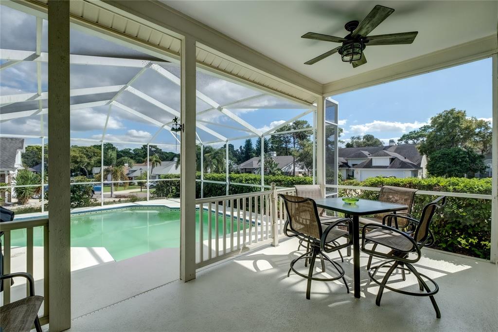 4113 Seton Circle Palm Harbor, FL 34683 - Photo 32 of 43