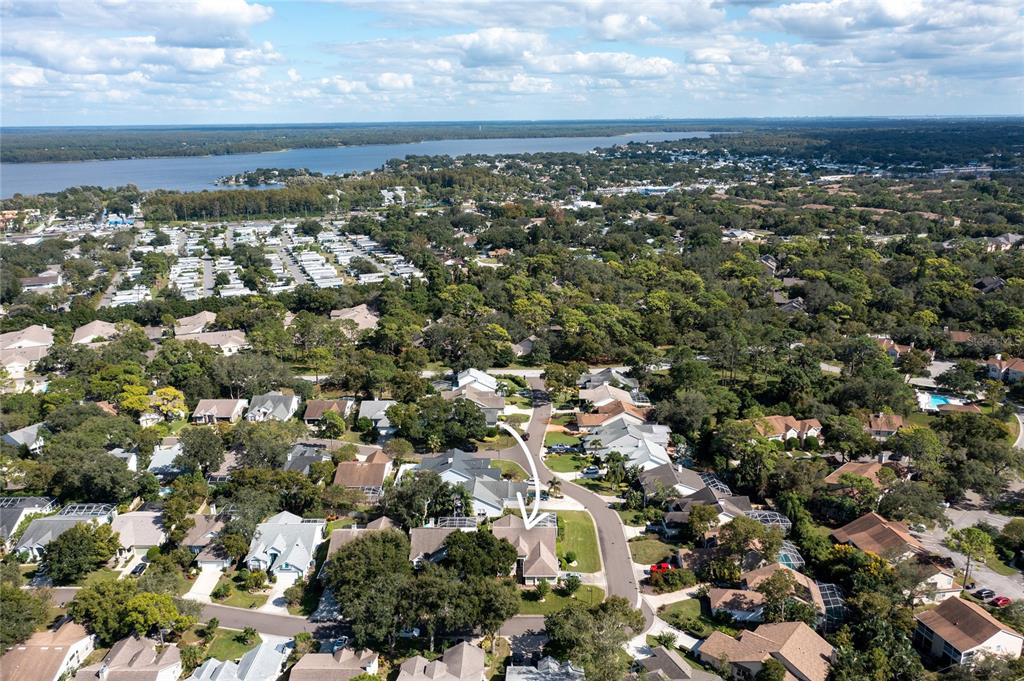 4113 Seton Circle Palm Harbor, FL 34683 - Photo 38 of 43