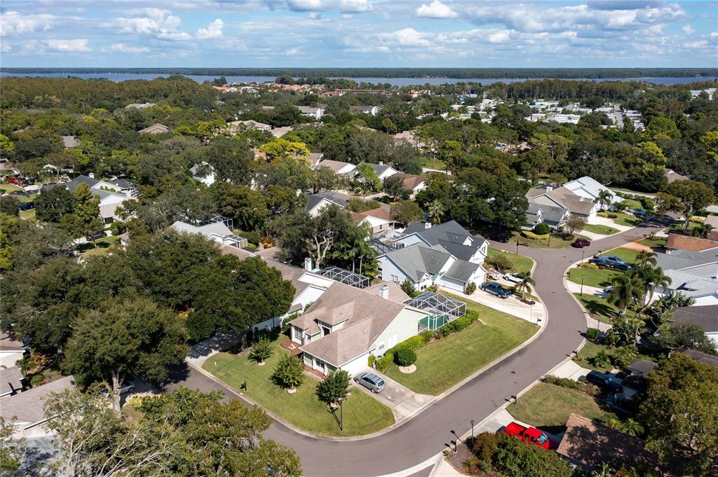 4113 Seton Circle Palm Harbor, FL 34683 - Photo 39 of 43