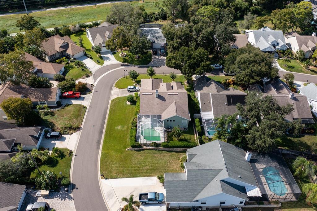 4113 Seton Circle Palm Harbor, FL 34683 - Photo 40 of 43