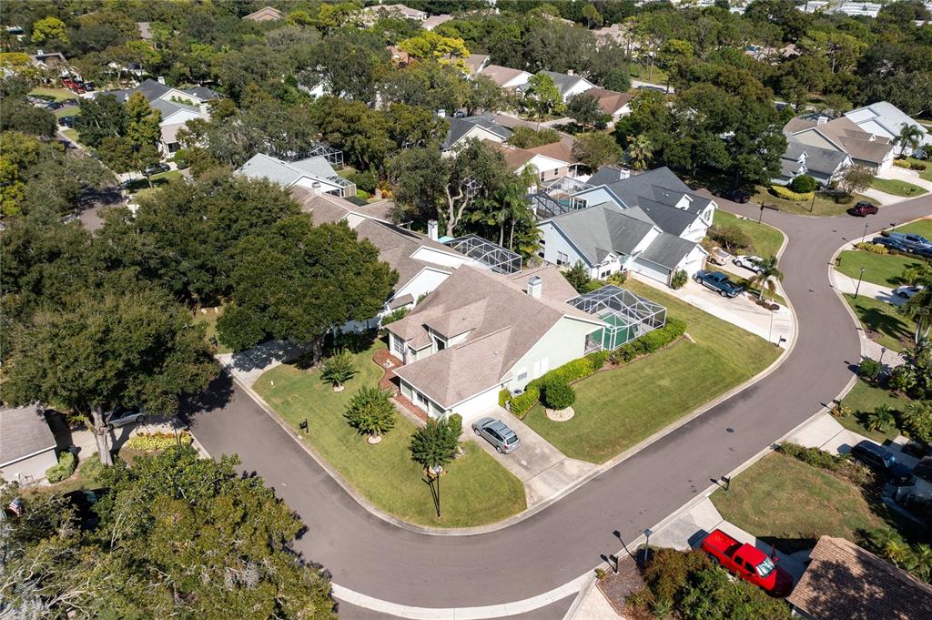 4113 Seton Circle Palm Harbor, FL 34683 - Photo 42 of 43