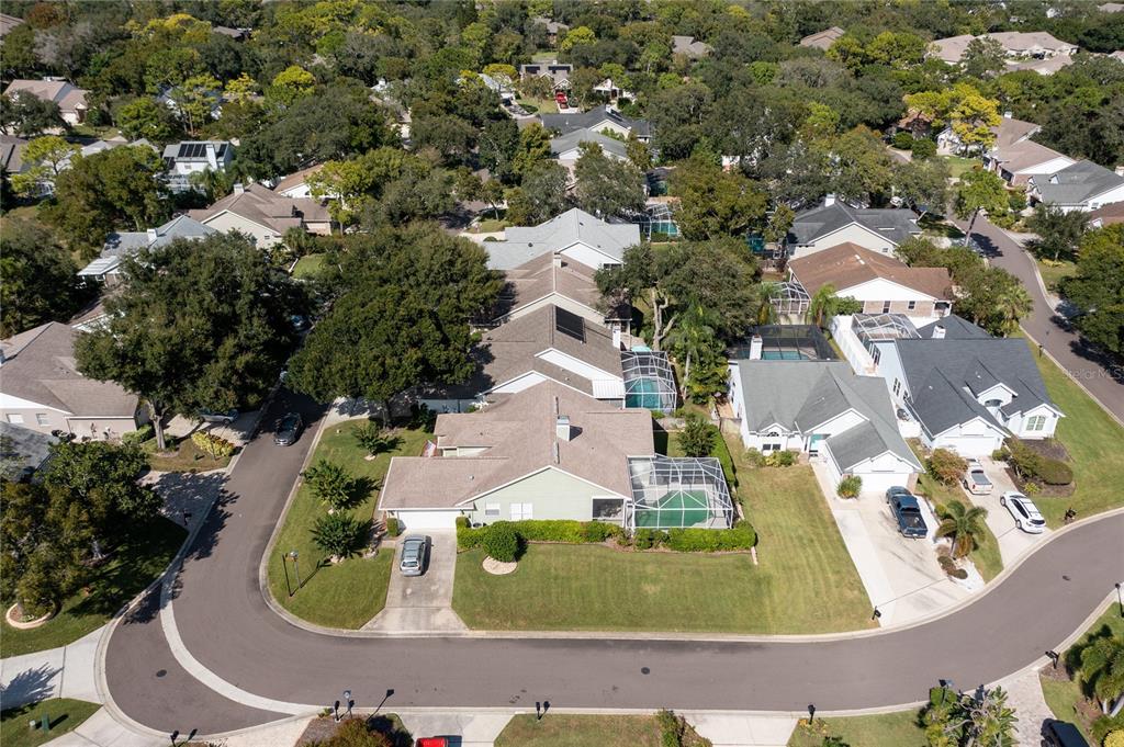 4113 Seton Circle Palm Harbor, FL 34683 - Photo 43 of 43