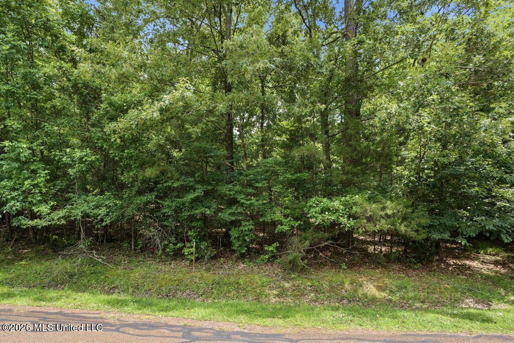 0 Dover Lane Madison, MS 39110 - Photo 2 of 5 IMG_0172
