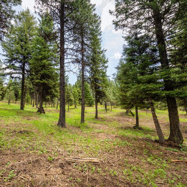 Lot 9 To Be Determined, Unit 9 McCall, ID 83638 - Photo 1 of 2 Main View