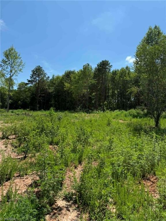 2633 Sprouse Road Boonville, NC 27011 - Photo 15 of 19