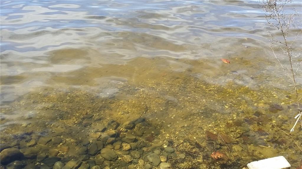 22 F F Sanborn Road Sabattus, ME 04280 - Photo 5 of 17 Photo