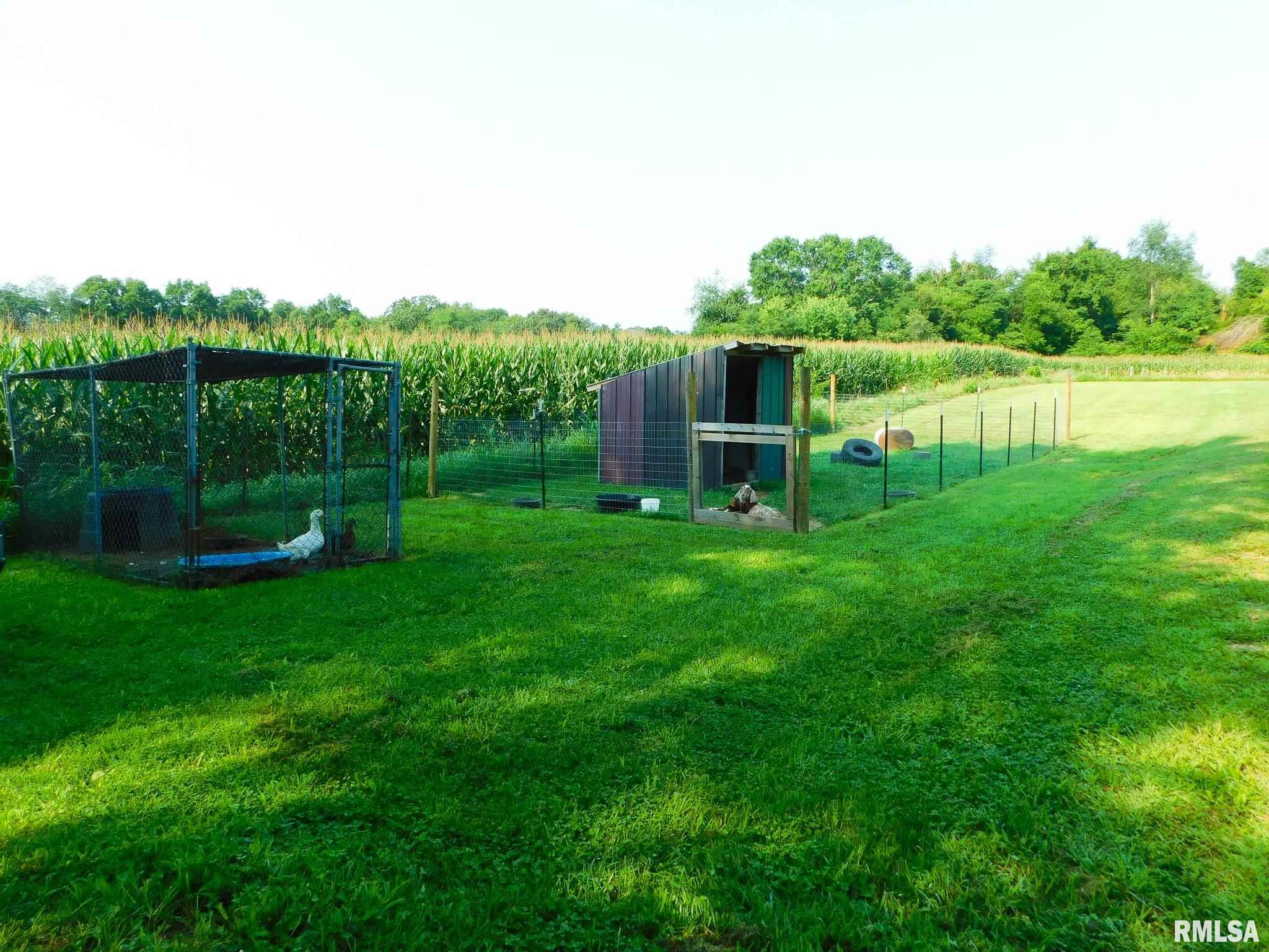 10713 South Strube Road Glasford, IL 61533 - Photo 46 of 49 Gallery Image 46