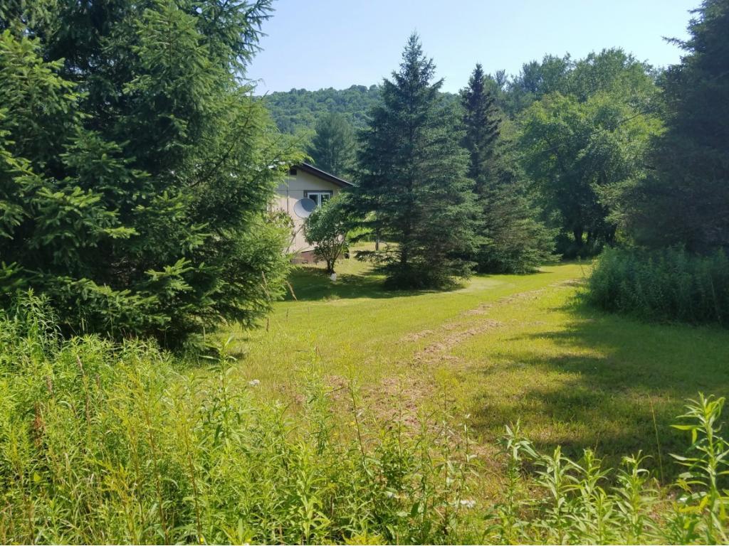 280 Cascade Valley Road Windsor, NY 13865 - Photo 14 of 18 Gallery Image 14