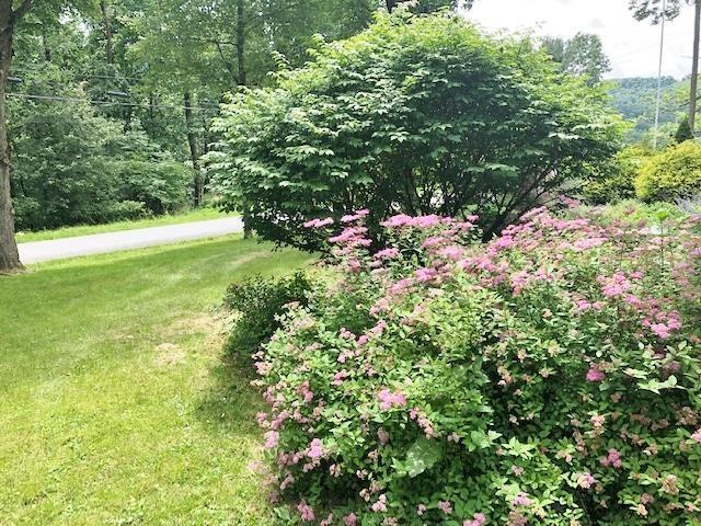 339 Farm Road Curwensville, PA 16833 - Photo 16 of 21 Gallery Image 16