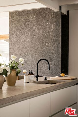 a closeup of a sink with a potted plant on it