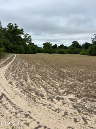 $174,900 | Tbd Blue Springs Road, Greenwood, FL 32443