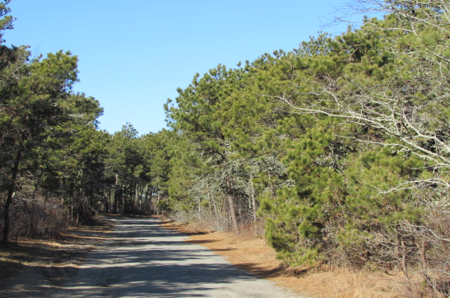 17 Deer Run Road Nantucket, MA 02554 - Photo 3 of 3 Gallery Image 3