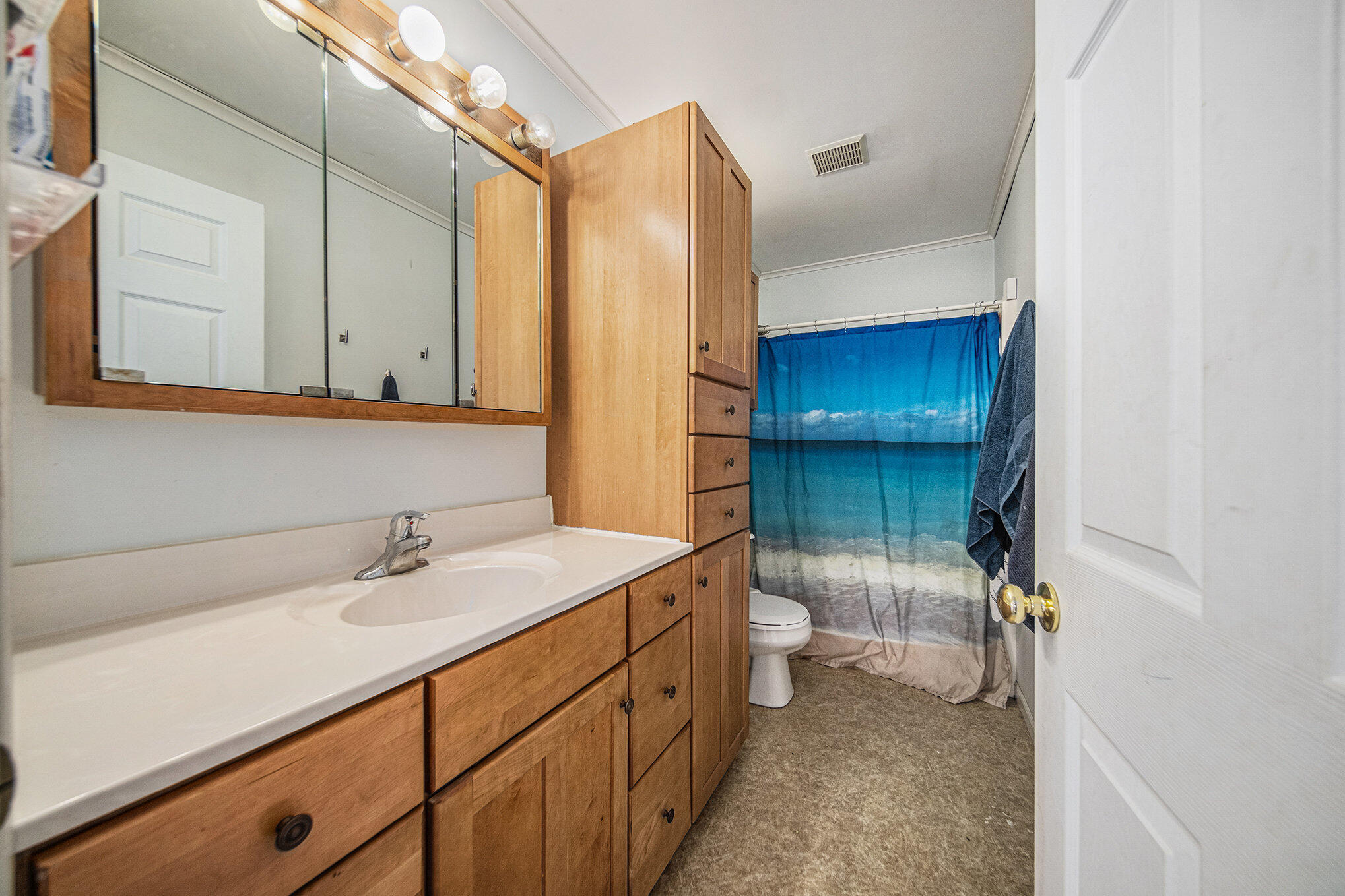 10497 South Jackson Road Cement City, MI 49233 - Photo 24 of 49 022_sbp_131_701