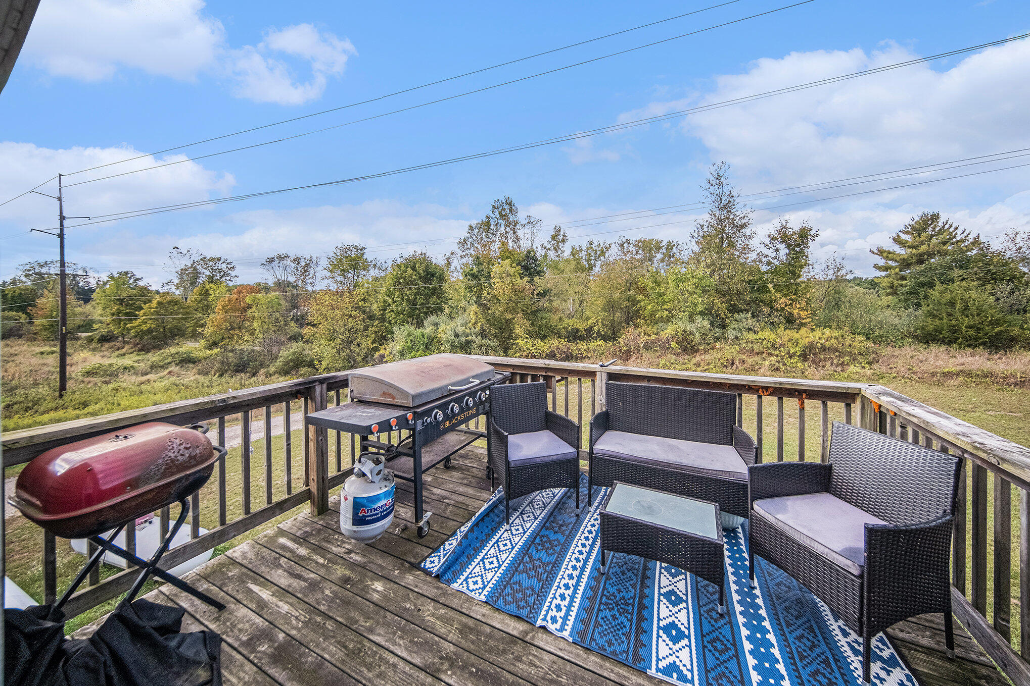 10497 South Jackson Road Cement City, MI 49233 - Photo 43 of 49 040_sbp_188_932