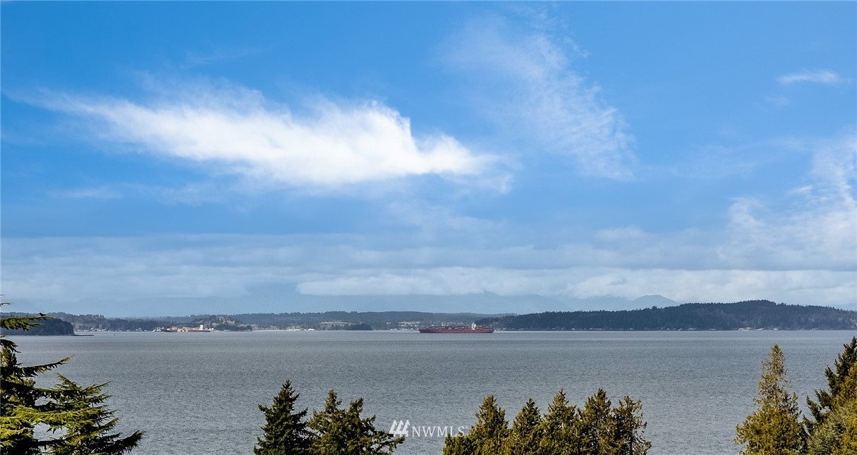 9337 45th Avenue Southwest Seattle, WA 98136 - Photo 23 of 30 a view of lake and mountain