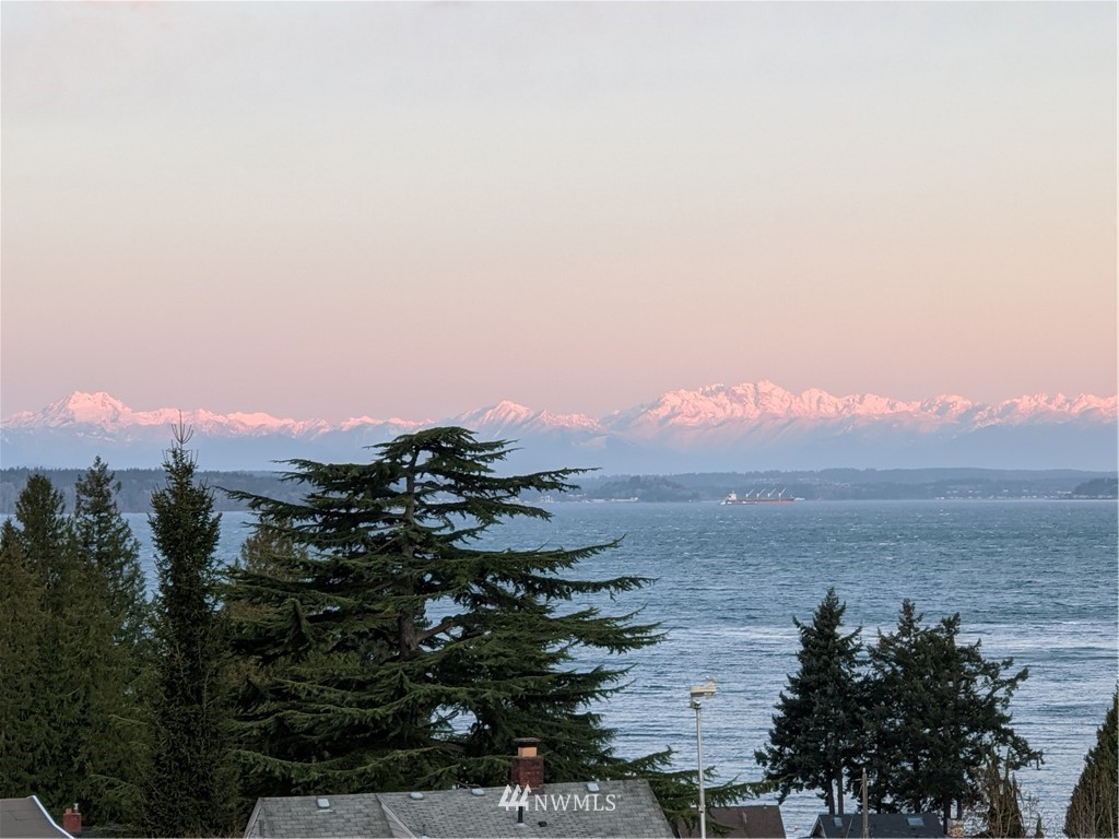 9337 45th Avenue Southwest Seattle, WA 98136 - Photo 24 of 30