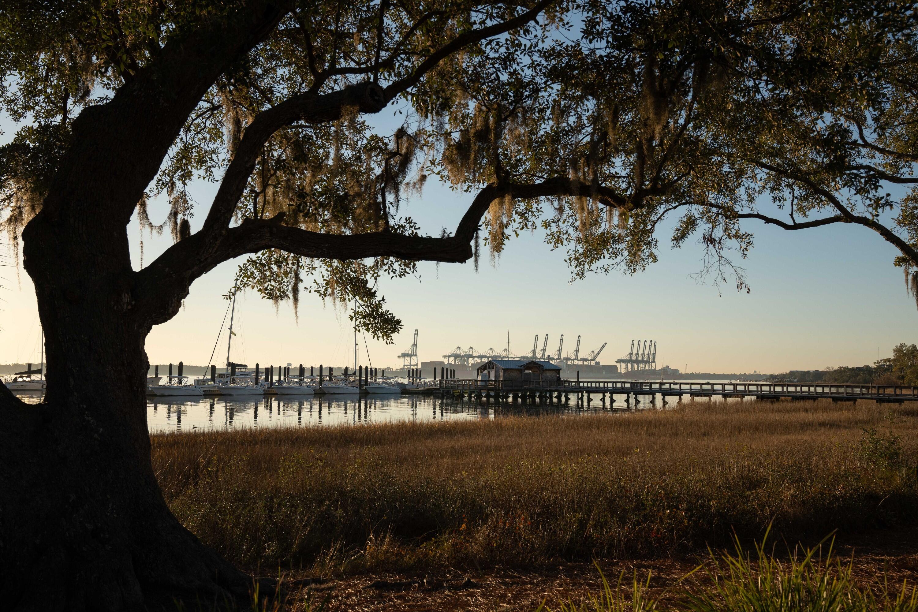 27 Watroo Point Daniel Island, SC 29492 - Photo 89 of 95 photo_090