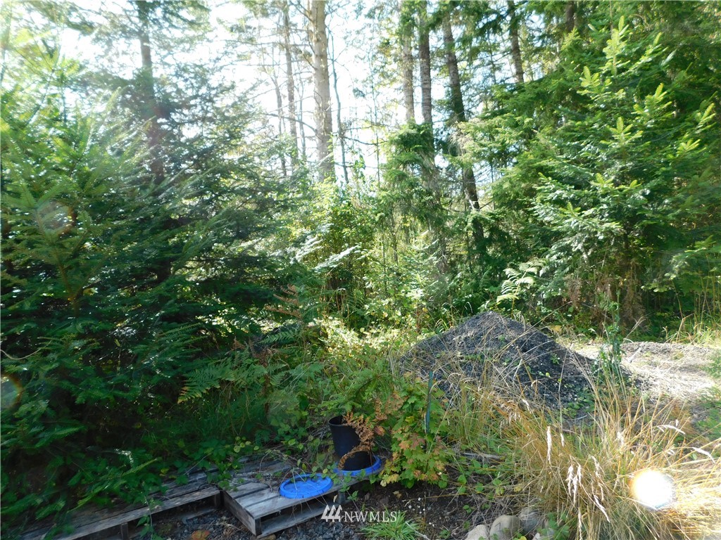 3272 Blue Mountain Road Port Angeles, WA 98362 - Photo 13 of 15 Gallery Image 13