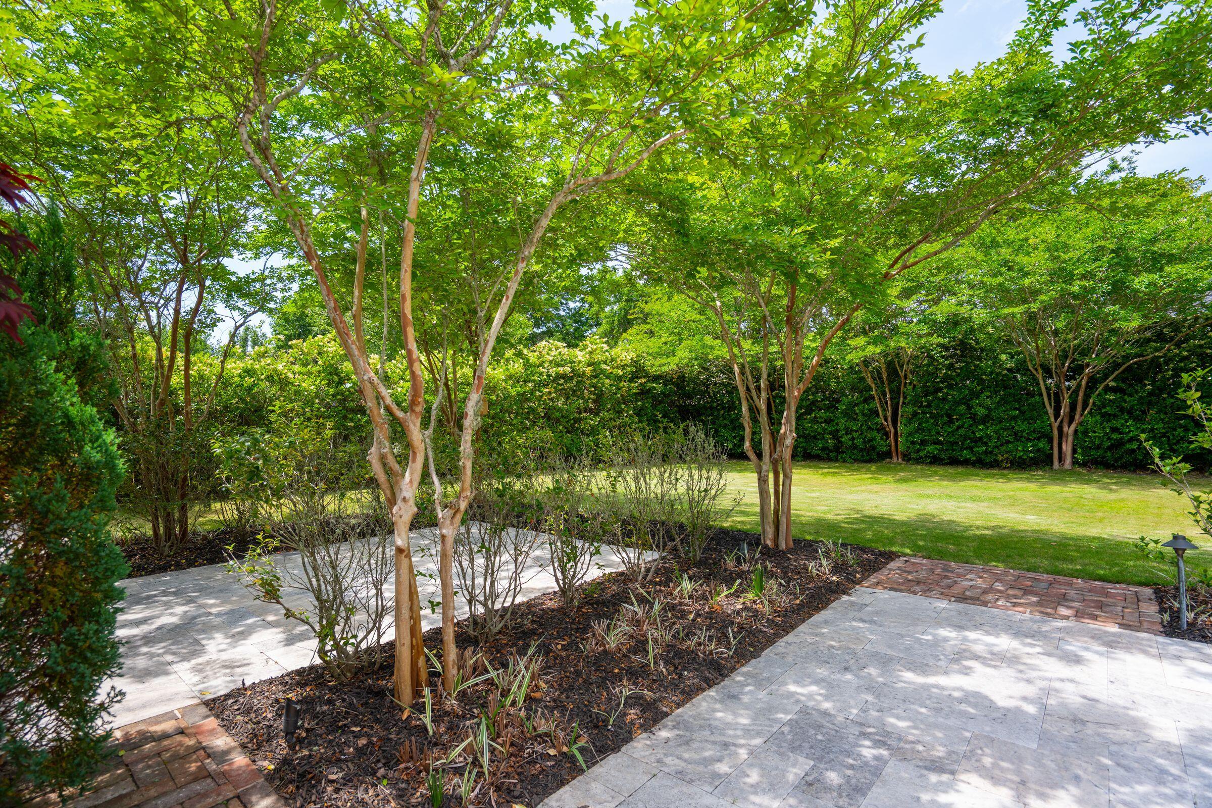 2254 Show Basket Way Mount Pleasant, SC 29466 - Photo 62 of 95 Backyard