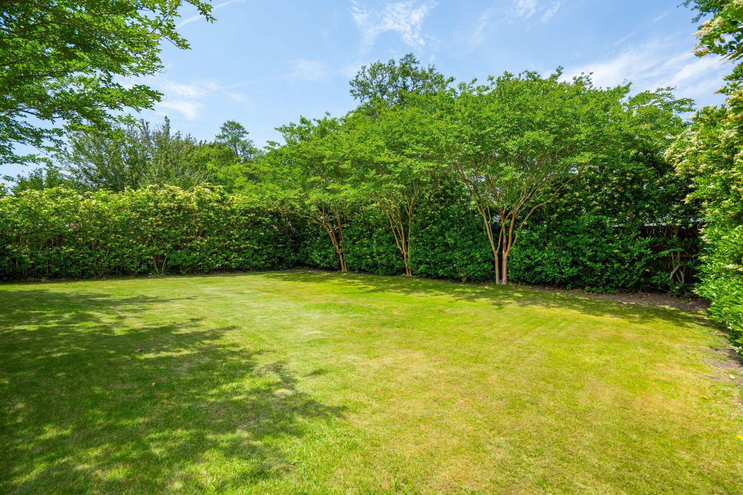 2254 Show Basket Way Mount Pleasant, SC 29466 - Photo 74 of 95 Backyard