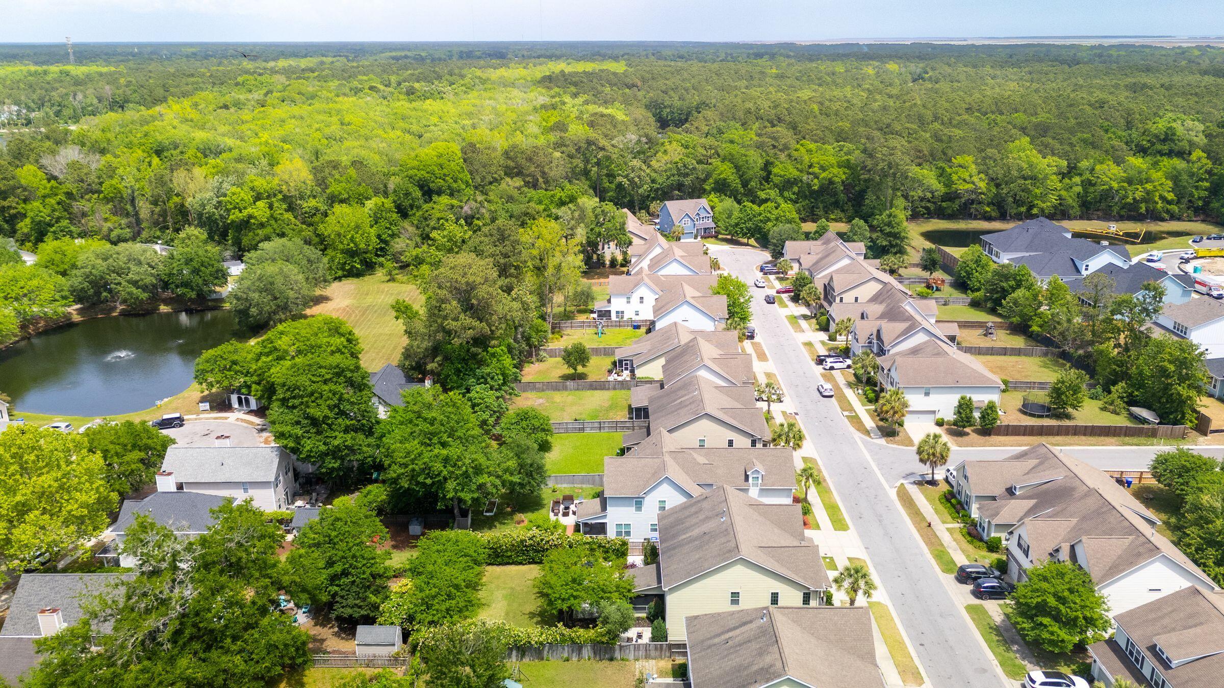 2254 Show Basket Way Mount Pleasant, SC 29466 - Photo 79 of 95 Aerial