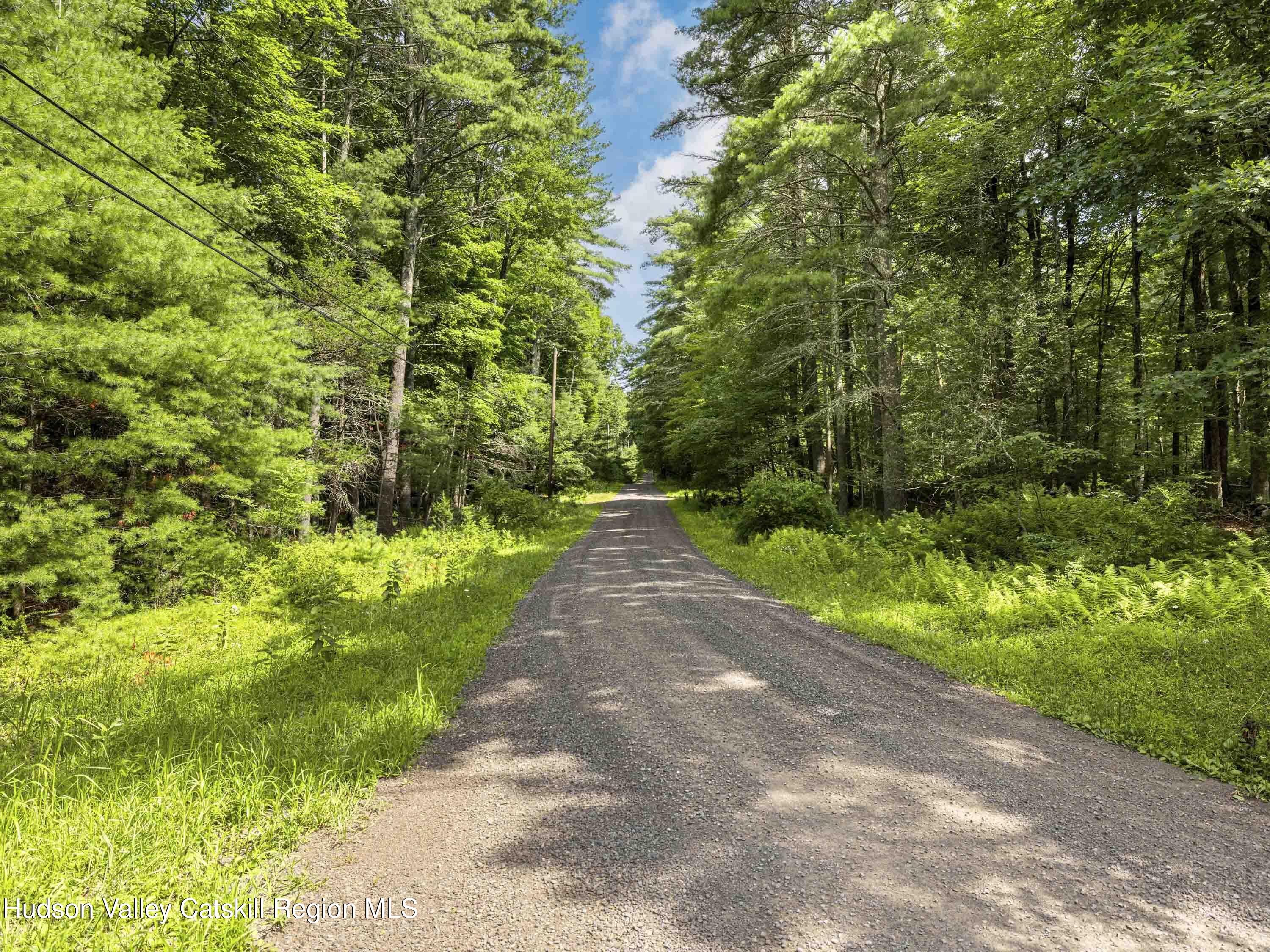 154 Lang Road Accord, NY 12404 - Photo 11 of 40 Lang Road Accord NY 12404 - 25