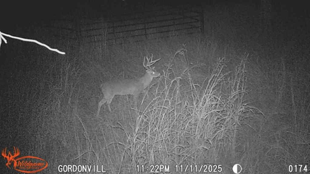 a close view of shower tap
