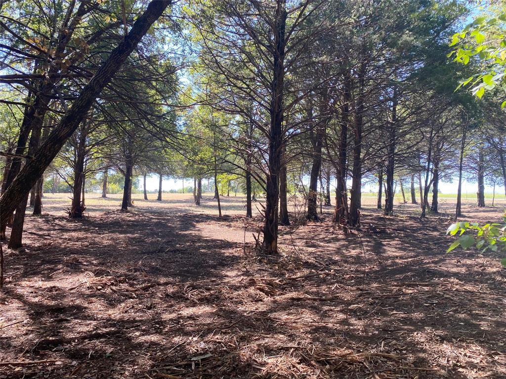 1648 Gordonville Road Gordonville, TX 76245 - Photo 11 of 18 a view of outdoor space with trees