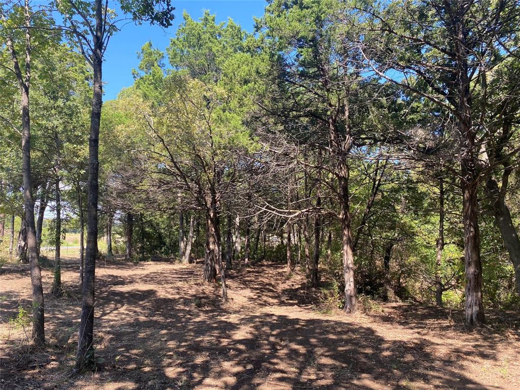 1648 Gordonville Road Gordonville, TX 76245 - Photo 14 of 18 a view of outdoor space with trees