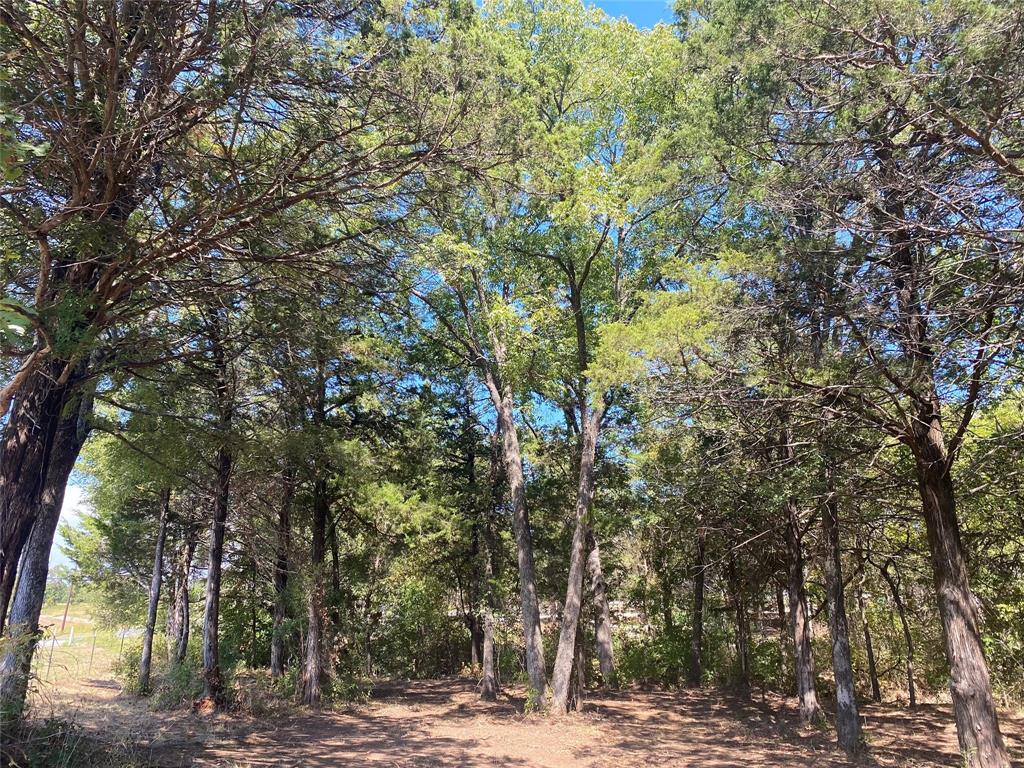 1648 Gordonville Road Gordonville, TX 76245 - Photo 15 of 18 a view of a yard with plants and trees