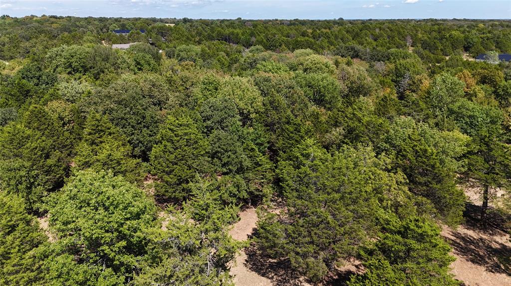 1648 Gordonville Road Gordonville, TX 76245 - Photo 4 of 18 an aerial view of residential houses with outdoor space and trees