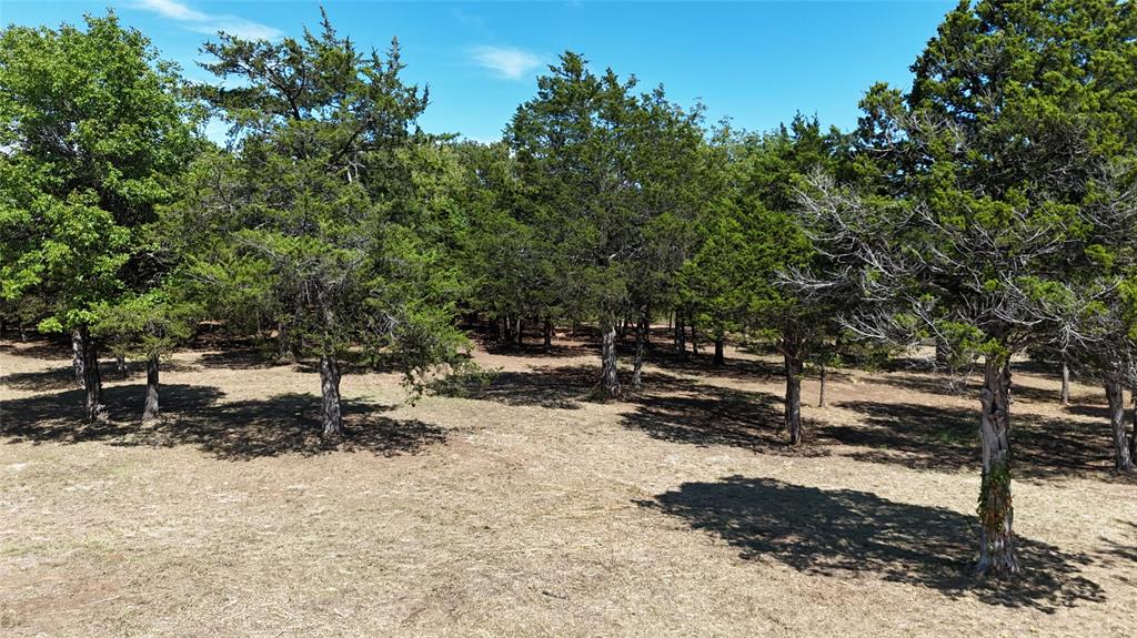 1648 Gordonville Road Gordonville, TX 76245 - Photo 5 of 18 a backyard of a house with a tree